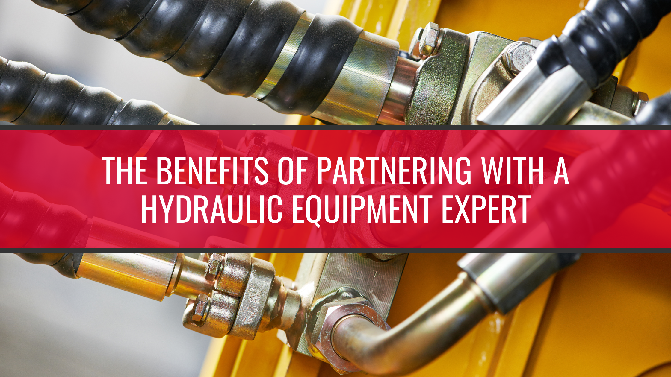 The Benefits of Partnering with a Hydraulic Equipment Expert